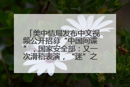美中情局发布中文视频公开招募“中国间谍”，国家安全部：又一次滑稽表演，“迷”之操作沦为国际笑柄