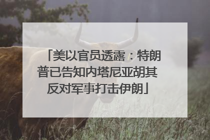 美以官员透露：特朗普已告知内塔尼亚胡其反对军事打击伊朗
