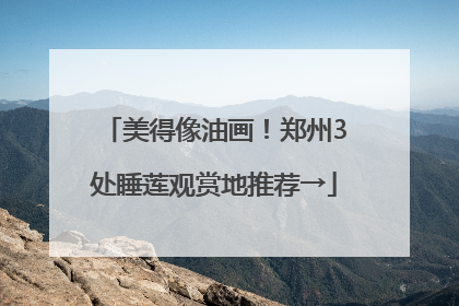美得像油画！郑州3处睡莲观赏地推荐→
