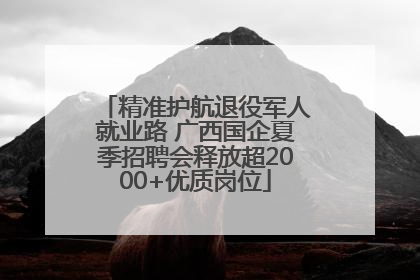 精准护航退役军人就业路 广西国企夏季招聘会释放超2000+优质岗位