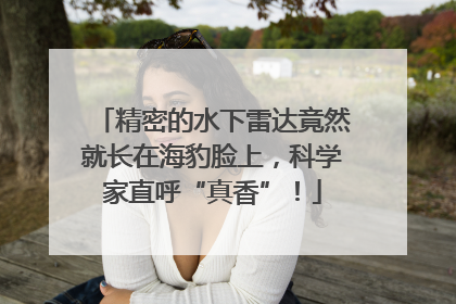 精密的水下雷达竟然就长在海豹脸上，科学家直呼“真香”！