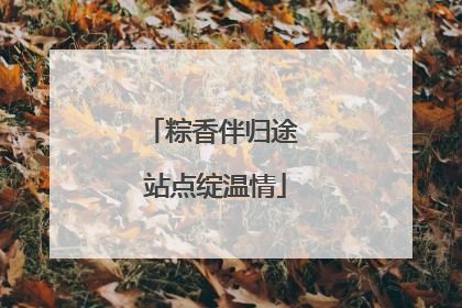 粽香伴归途 站点绽温情