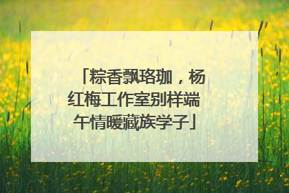 粽香飘珞珈，杨红梅工作室别样端午情暖藏族学子