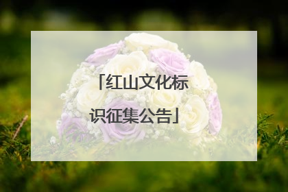 红山文化标识征集公告