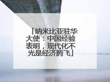 纳米比亚驻华大使：中国经验表明，现代化不光是经济腾飞