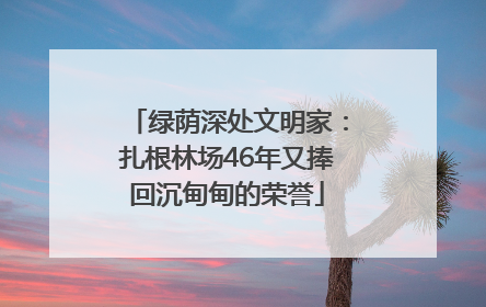 绿荫深处文明家：扎根林场46年又捧回沉甸甸的荣誉