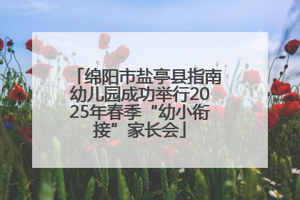 绵阳市盐亭县指南幼儿园成功举行2025年春季“幼小衔接”家长会