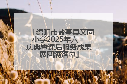 绵阳市盐亭县文同小学2025年六一庆典暨课后服务成果展圆满落幕