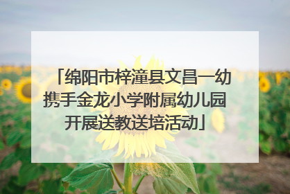 绵阳市梓潼县文昌一幼携手金龙小学附属幼儿园开展送教送培活动