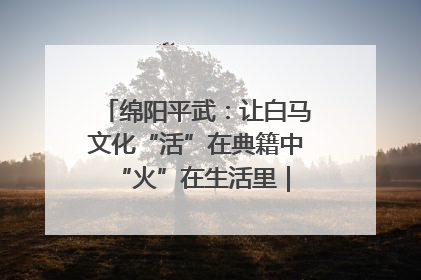 绵阳平武：让白马文化“活”在典籍中 “火”在生活里｜新闻发布最前线