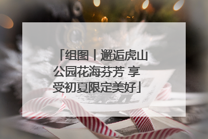 组图丨邂逅虎山公园花海芬芳 享受初夏限定美好