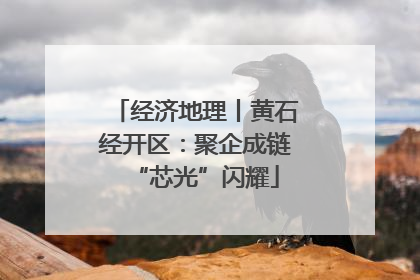 经济地理丨黄石经开区：聚企成链“芯光”闪耀