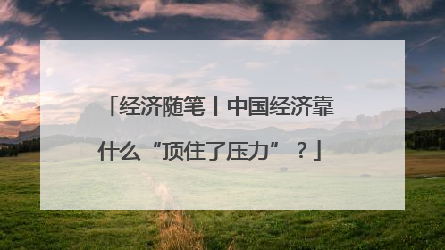 经济随笔丨中国经济靠什么“顶住了压力”？