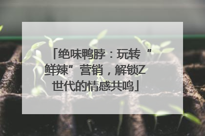 绝味鸭脖：玩转“鲜辣”营销，解锁Z世代的情感共鸣
