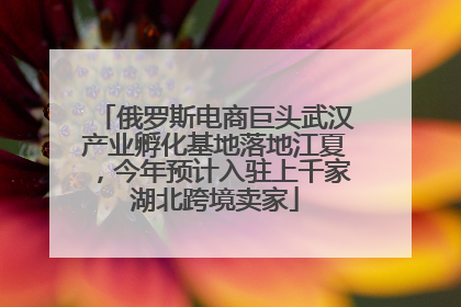 俄罗斯电商巨头武汉产业孵化基地落地江夏，今年预计入驻上千家湖北跨境卖家
