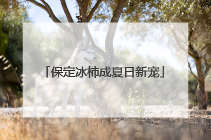保定冰柿成夏日新宠
