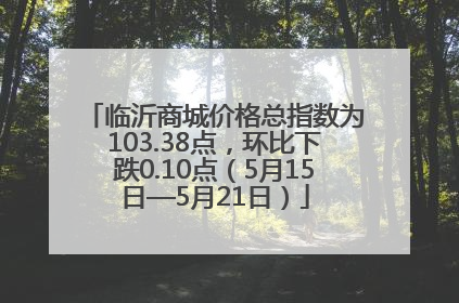 临沂商城价格总指数为103.38点，环比下跌0.10点（5月15日—5月21日）