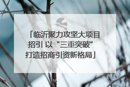 临沂聚力攻坚大项目招引 以“三重突破”打造招商引资新格局