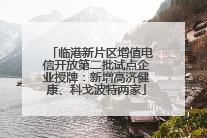 临港新片区增值电信开放第二批试点企业授牌：新增高济健康、科戈波特两家