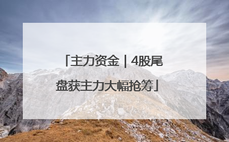 主力资金｜4股尾盘获主力大幅抢筹