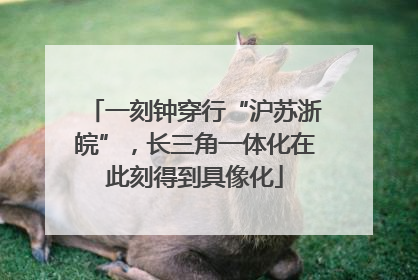 一刻钟穿行“沪苏浙皖”，长三角一体化在此刻得到具像化