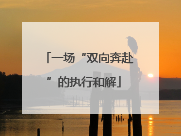 一场“双向奔赴”的执行和解
