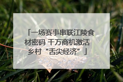 一场赛事串联江陵食材密码 千万商机激活乡村“舌尖经济”