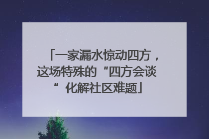 一家漏水惊动四方，这场特殊的“四方会谈”化解社区难题
