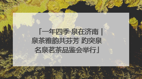 一年四季·泉在济南｜泉茶雅韵共芬芳 趵突泉名泉茗茶品鉴会举行