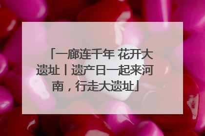 一廊连千年 花开大遗址丨遗产日一起来河南，行走大遗址