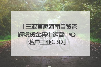 三亚首家海南自贸港跨境资金集中运营中心落户三亚CBD