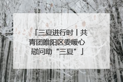 三夏进行时丨共青团睢阳区委暖心慰问助“三夏”