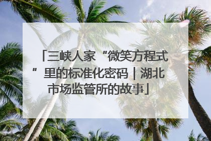 三峡人家“微笑方程式”里的标准化密码｜湖北市场监管所的故事