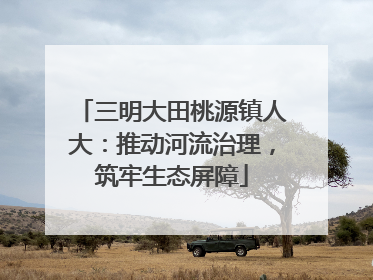 三明大田桃源镇人大：推动河流治理，筑牢生态屏障