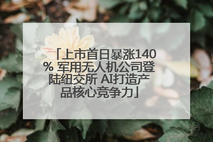 上市首日暴涨140% 军用无人机公司登陆纽交所 AI打造产品核心竞争力