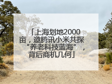 上海划地2000亩，邀腾讯小米共探“养老科技蓝海”，背后商机几何
