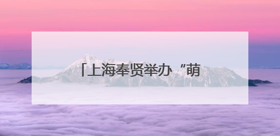 上海奉贤举办“萌娃社交”活动，为青春经济注入新活力