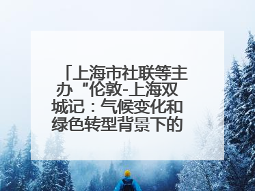 上海市社联等主办“伦敦-上海双城记：气候变化和绿色转型背景下的考古、历史和文化遗产”学术对话