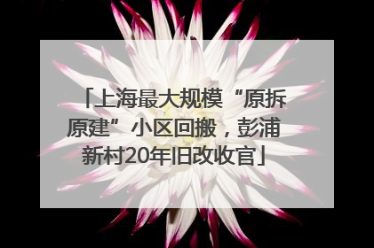 上海最大规模“原拆原建”小区回搬，彭浦新村20年旧改收官