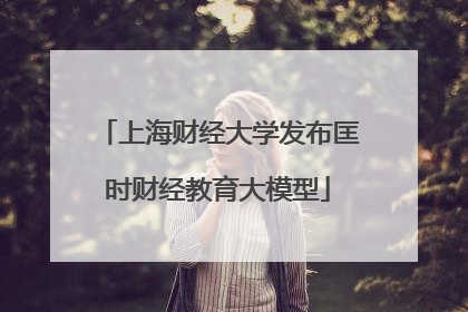 上海财经大学发布匡时财经教育大模型