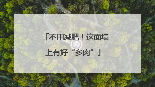 不用减肥！这面墙上有好“多肉”