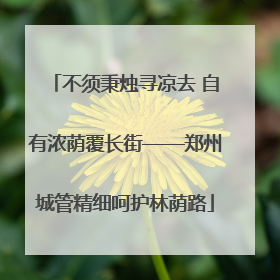 不须秉烛寻凉去 自有浓荫覆长街——郑州城管精细呵护林荫路