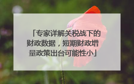 专家详解关税战下的财政数据，短期财政增量政策出台可能性小