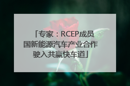 专家：RCEP成员国新能源汽车产业合作驶入共赢快车道