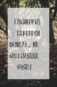 东湖评论：以科技创新聚力，推动江汉欣欣向荣