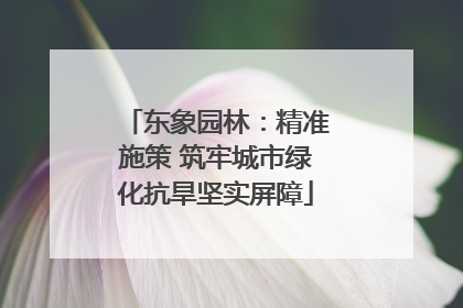 东象园林：精准施策 筑牢城市绿化抗旱坚实屏障