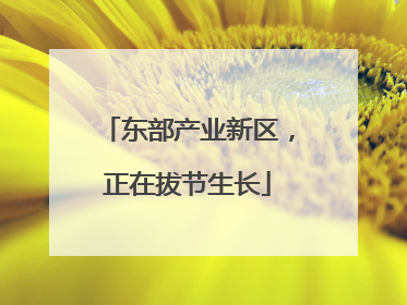 东部产业新区，正在拔节生长