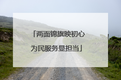 两面锦旗映初心 为民服务显担当