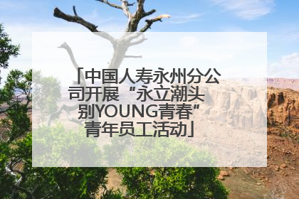 中国人寿永州分公司开展“永立潮头 别YOUNG青春”青年员工活动