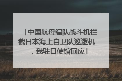 中国航母编队战斗机拦截日本海上自卫队巡逻机，我驻日使馆回应